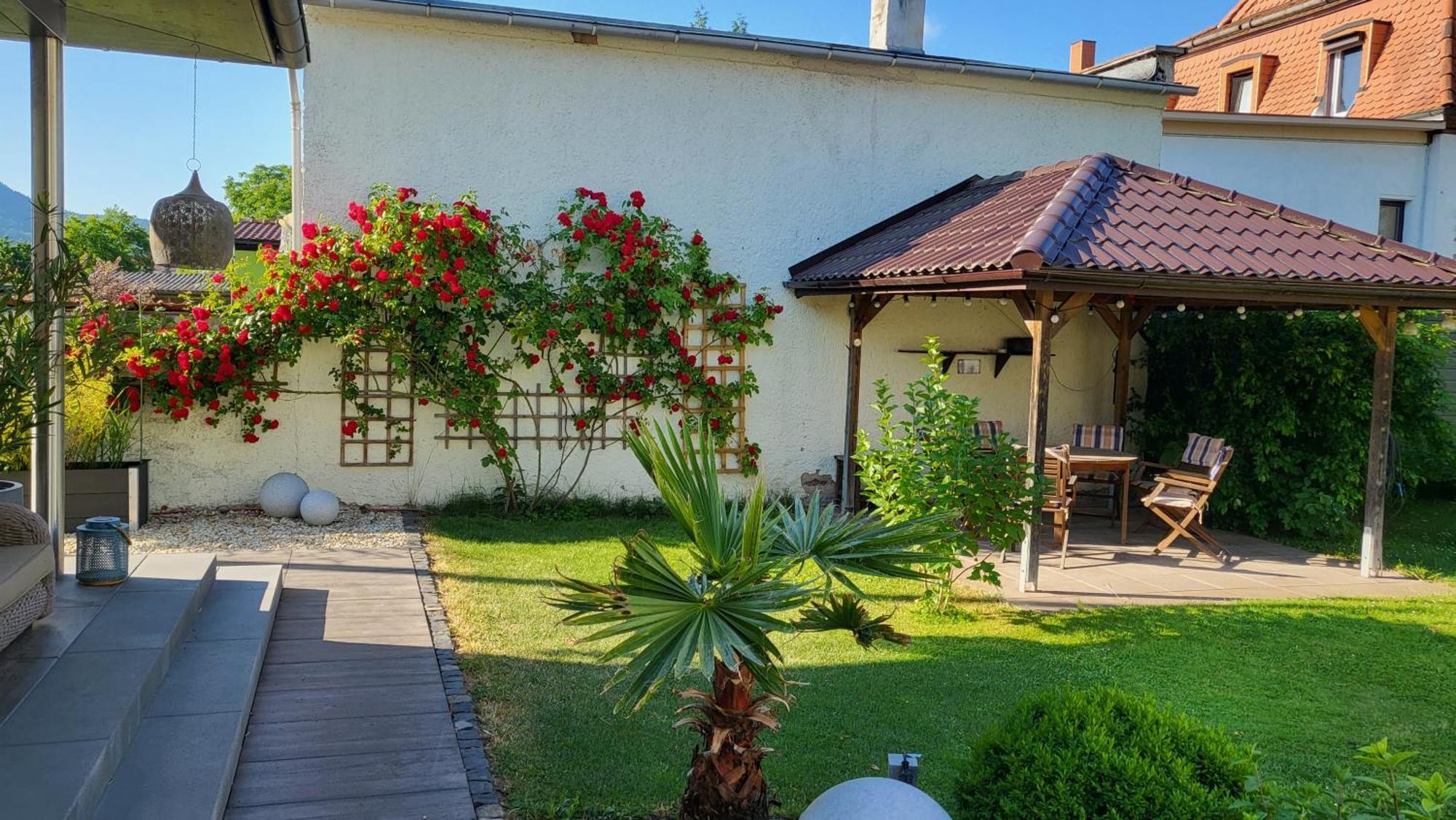 Apartments Am Saalebogen Mit Gartenterrasse, Grillkamin, Freie Parkplaetze Rudolstadt Luaran gambar